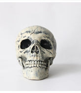 Halloween Prop – Realistic Plastic Human Skeleton Hand 💀