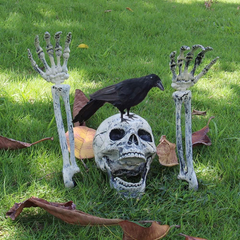 Halloween Prop β Realistic Plastic Human Skeleton Hand π
